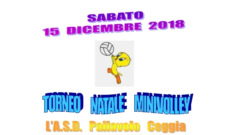 Torneo S3 Pallavolo Ceggia