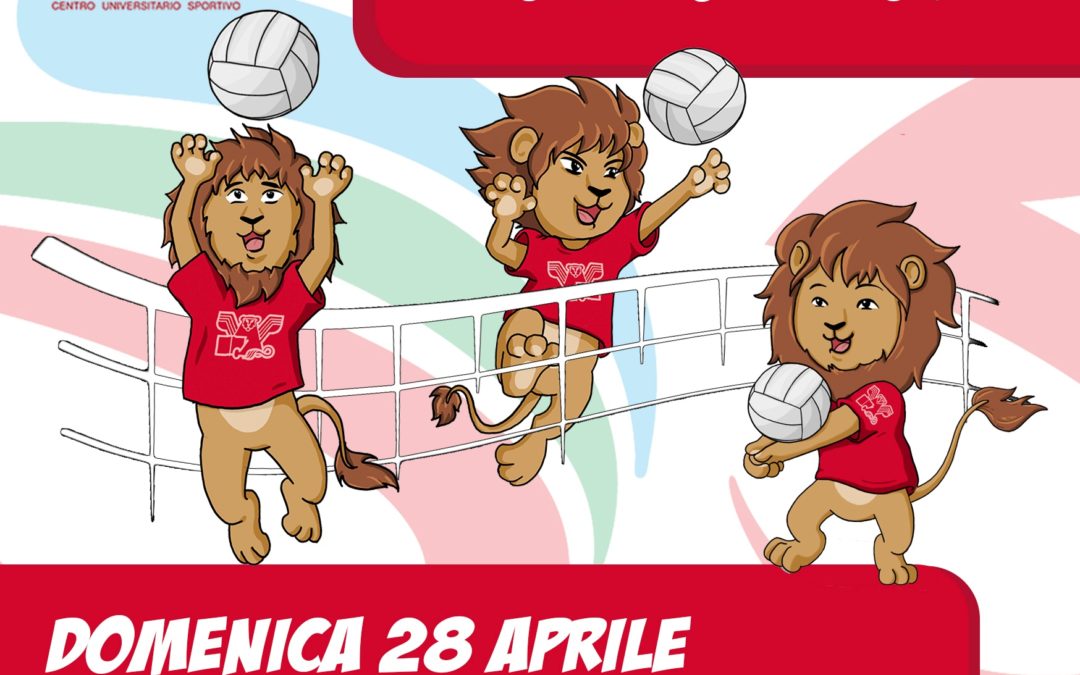 Festa Volley S3 – Cus Venezia